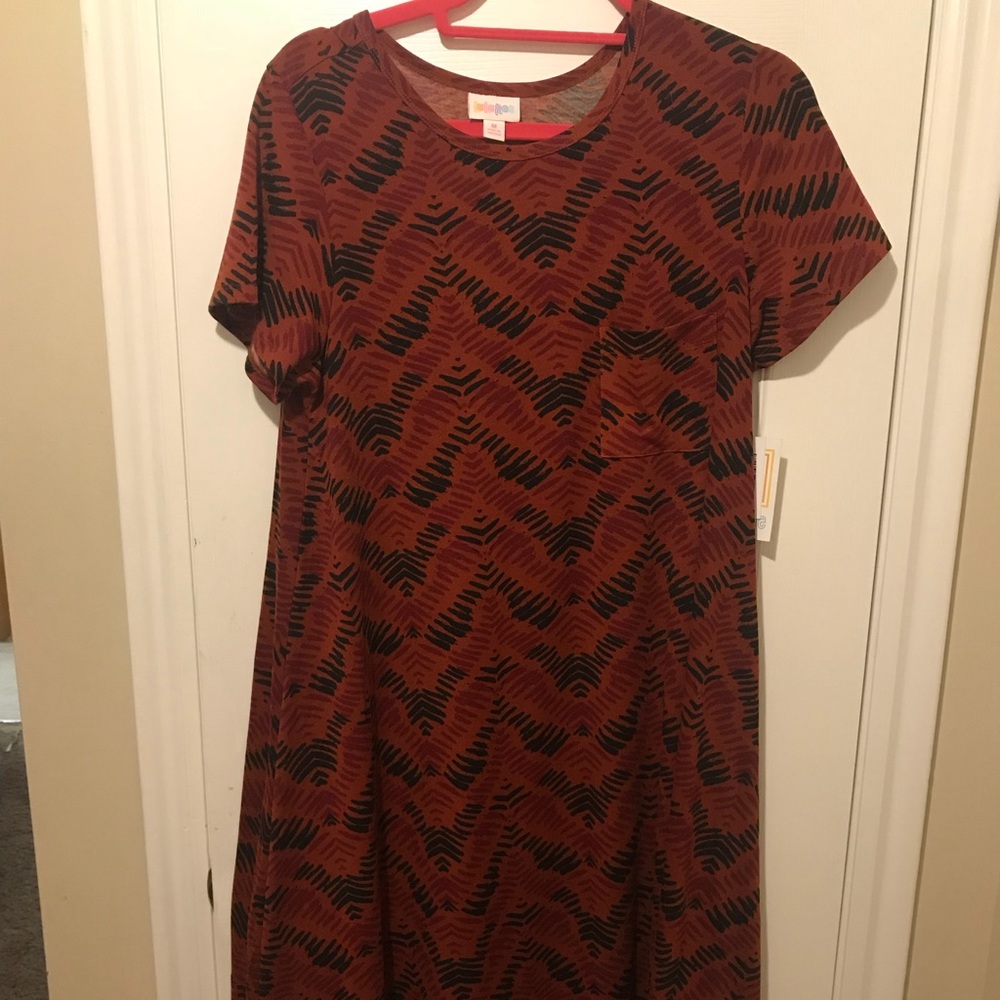 Lularoe Carly dress